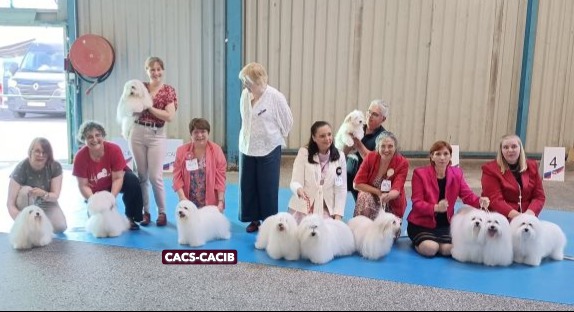 Ursulinette - CACS-CACIB au Championnat de France 2026